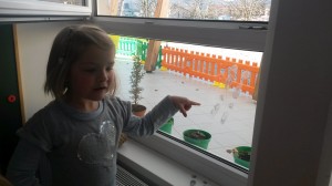 20150306_094420