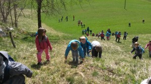 20150407_114929