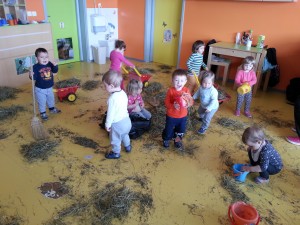 kmetija (6)