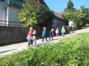 KRTKI FIT (6)