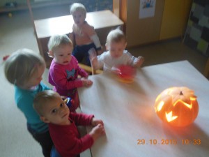 DSCN3684