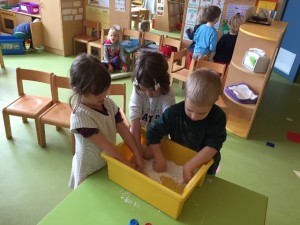IMG_3133
