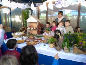 IMG_20160517_094728