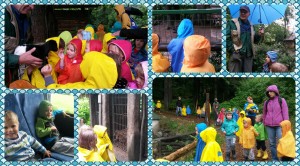 zoo