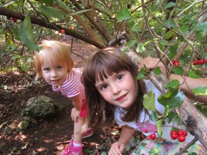 IMG_0007