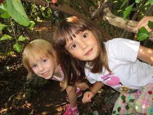 IMG_0008
