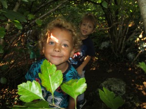 IMG_0010