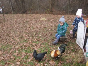 IMG_3006 (2)