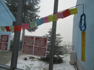 unnamed (6)