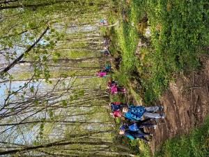 20170407_094405