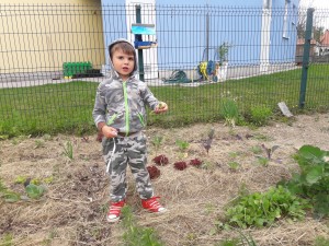 20170504_105141