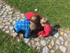 IMG_1887 (1)