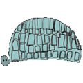 Obvestilo